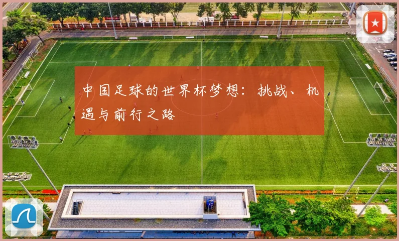 中国足球的世界杯梦想：挑战、机遇与前行之路