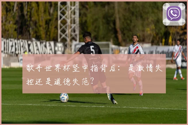 歌手世界杯竖中指背后：是激情失控还是道德失范？
