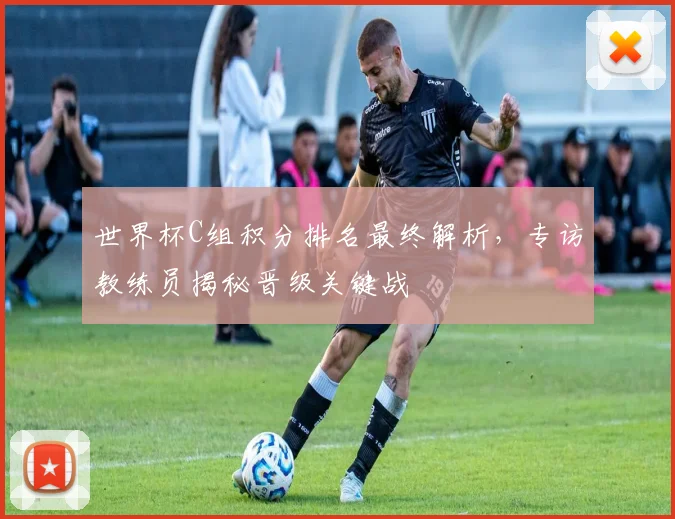 世界杯C组积分排名最终解析,专访教练员揭秘晋级关键战