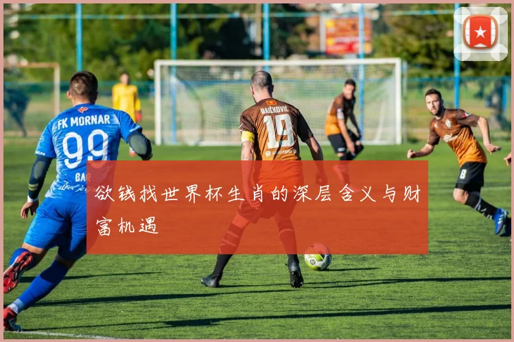 欲钱找世界杯生肖的深层含义与财富机遇