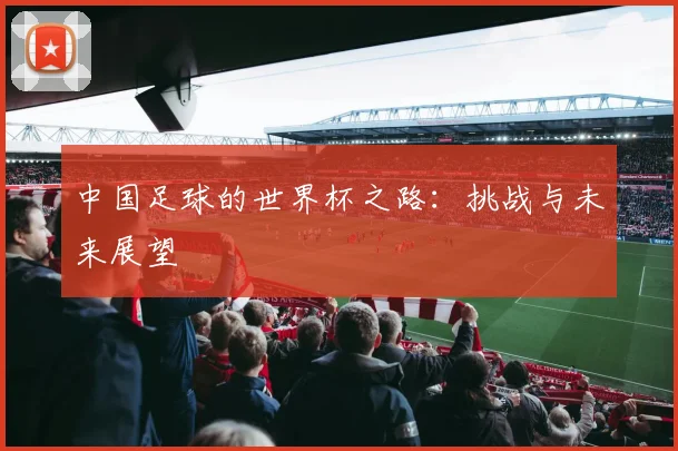 中国足球的世界杯之路：挑战与未来展望