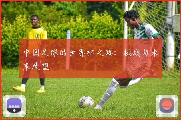 中国足球的世界杯之路：挑战与未来展望