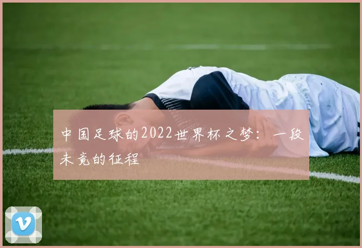 中国足球的2022世界杯之梦：一段未竟的征程