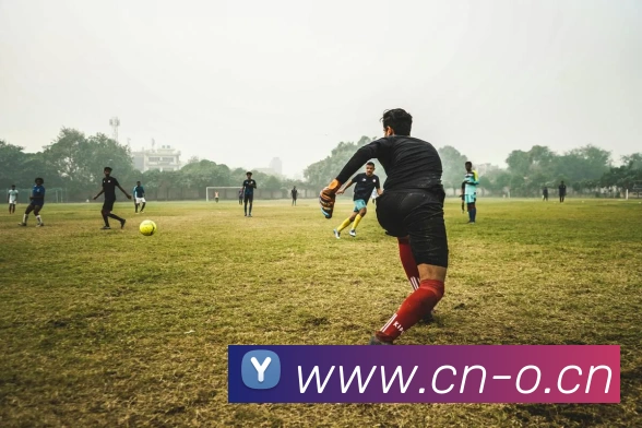 华体育会登录网官网平台生态图